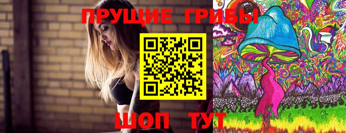 Галлюциногенные грибы мухоморы  Псилоцибиновые грибы мицелий  Северск  купить наркоту  Вход с VPN 