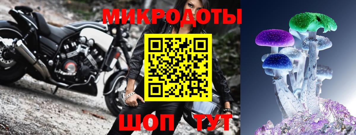 Галлюциногенные грибы ЛСД Северск